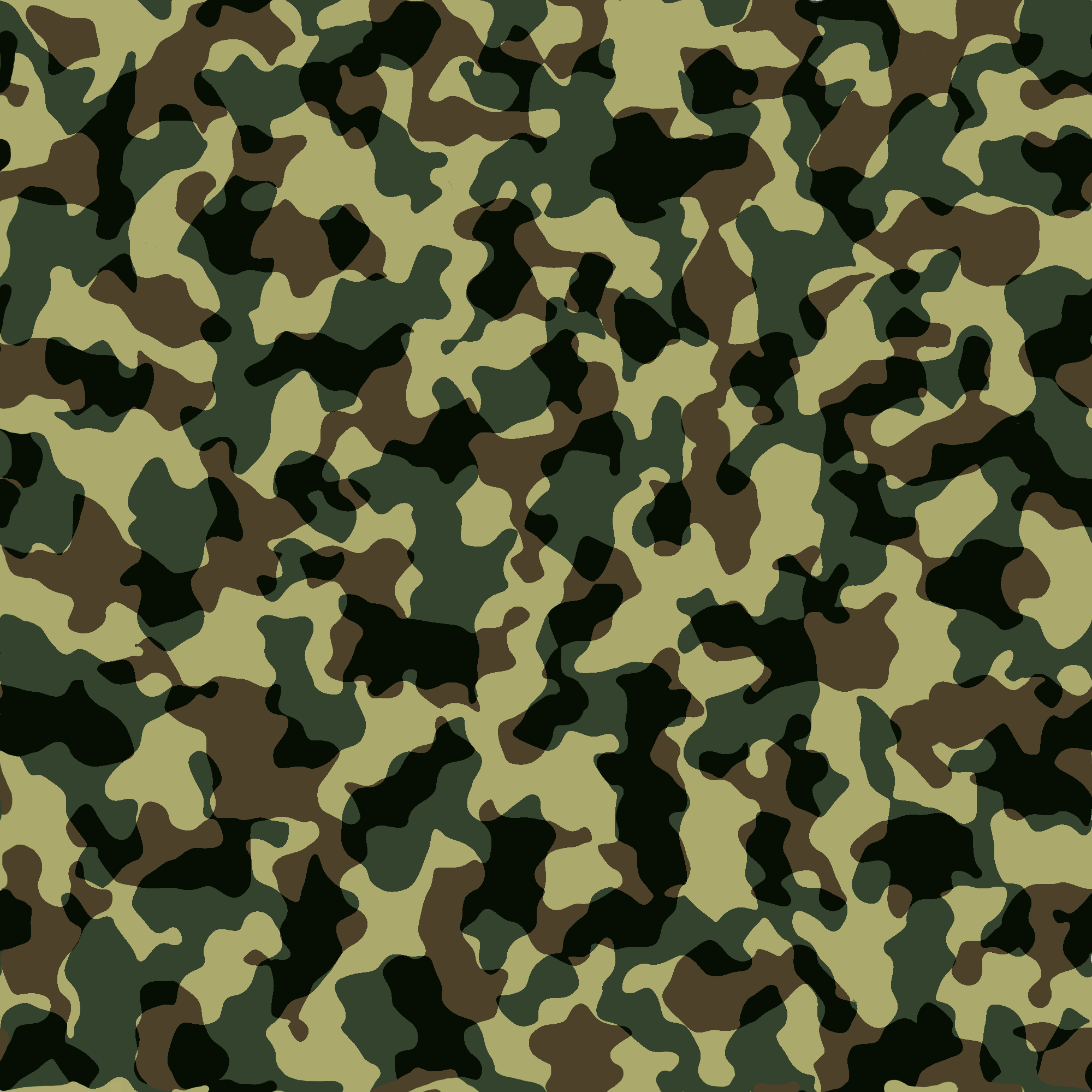 Camouflage (카모)